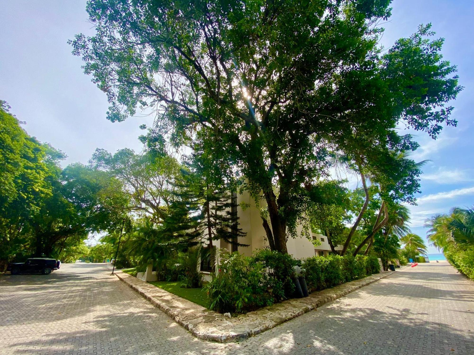 Villa Almendra Playacar 1 普拉亚卡门 外观 照片